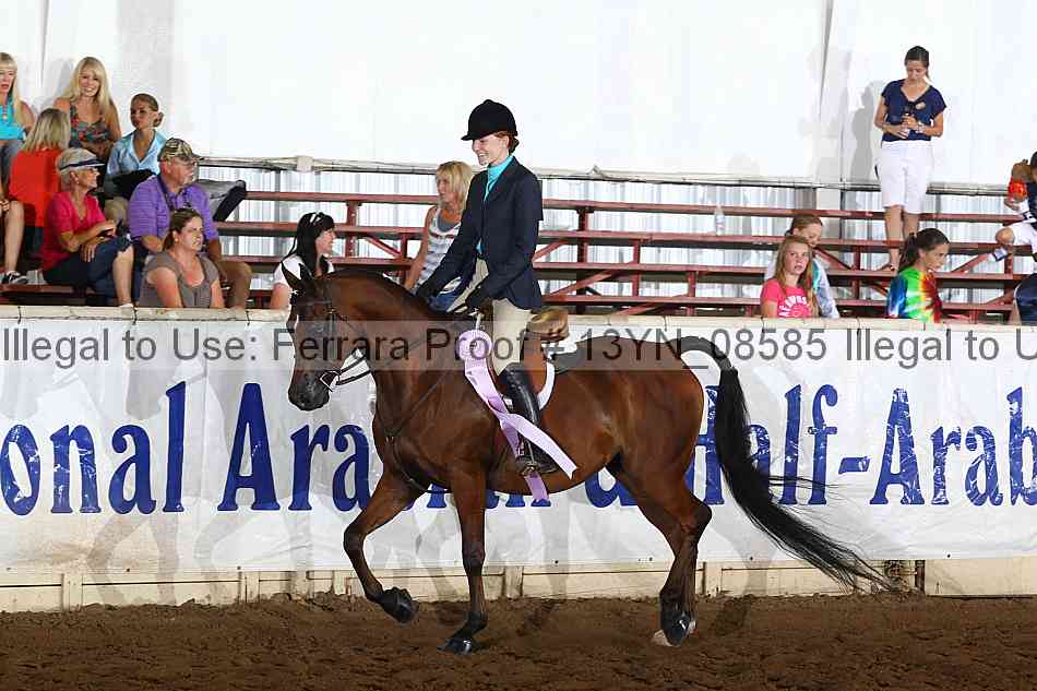 Proof 13yn_08585