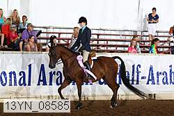 13yn_08585 proof