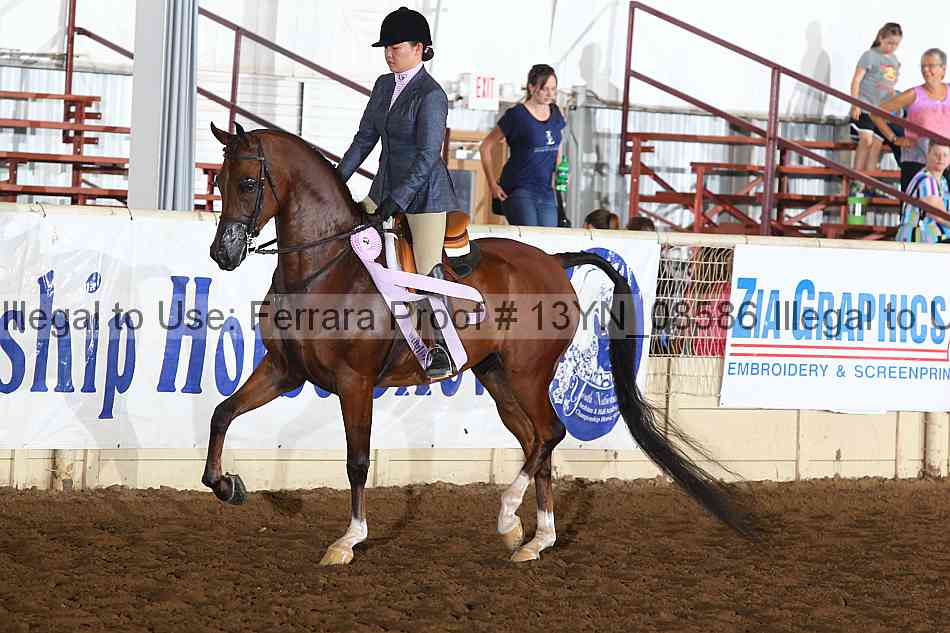 Proof 13yn_08586