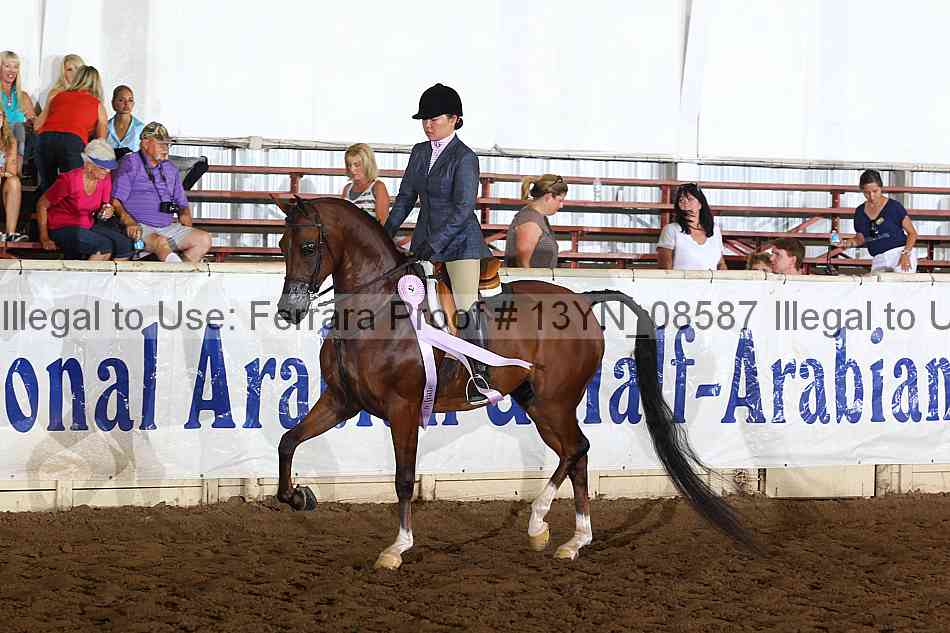 Proof 13yn_08587