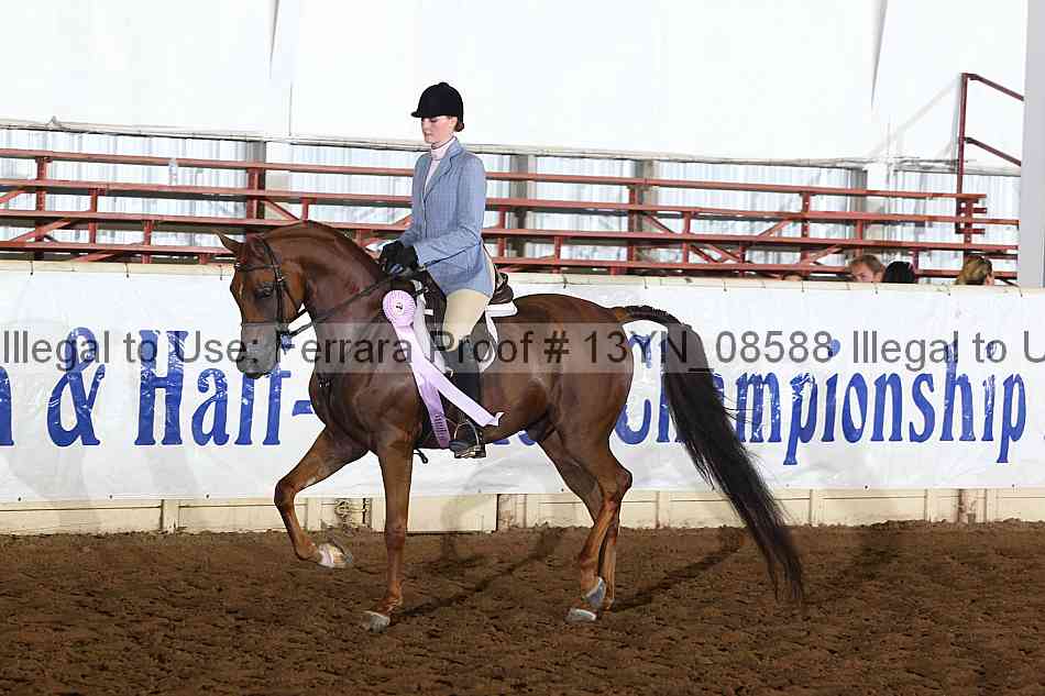 Proof 13yn_08588