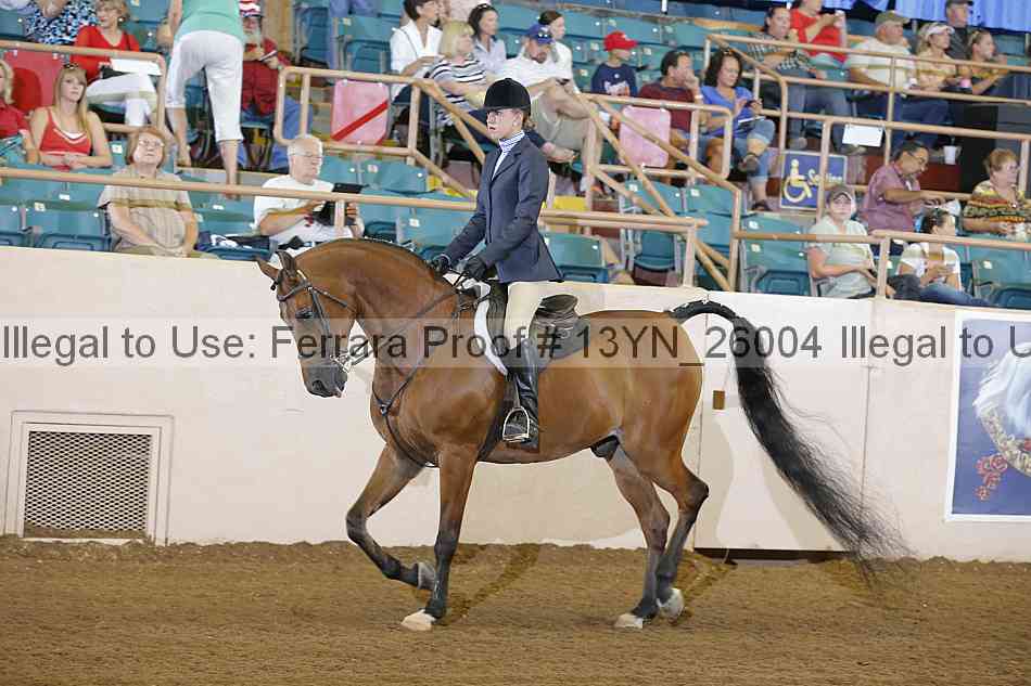Proof 13yn_26004