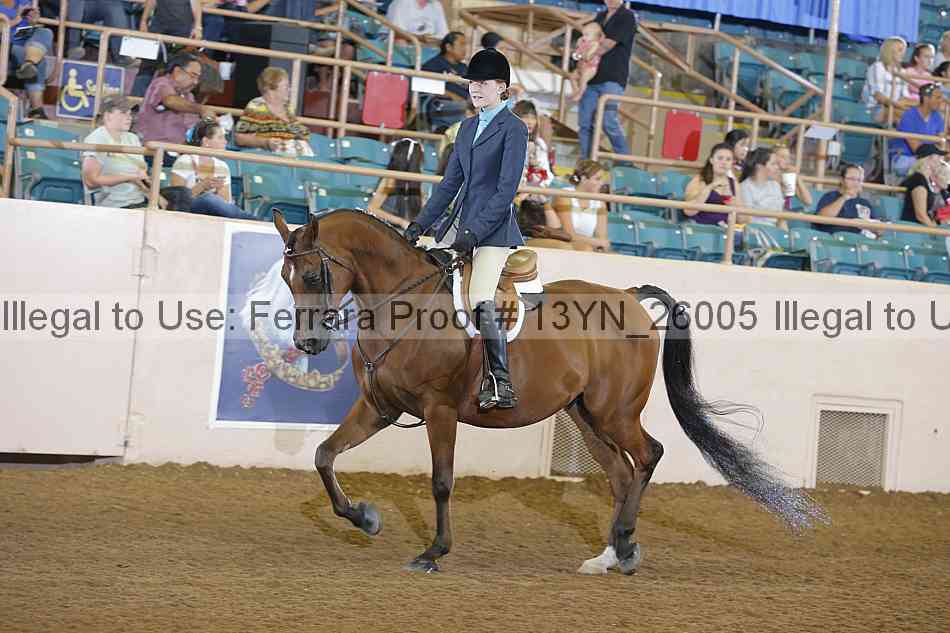 Proof 13yn_26005