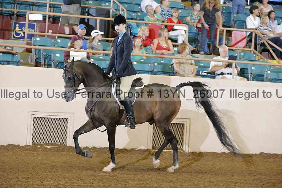 Proof 13yn_26007
