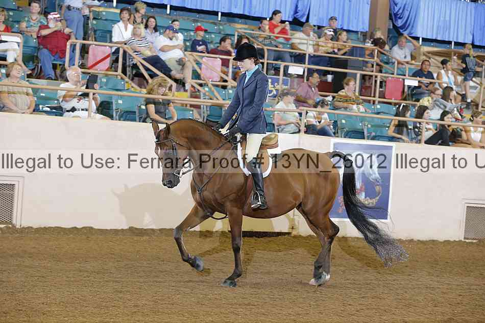 Proof 13yn_26012