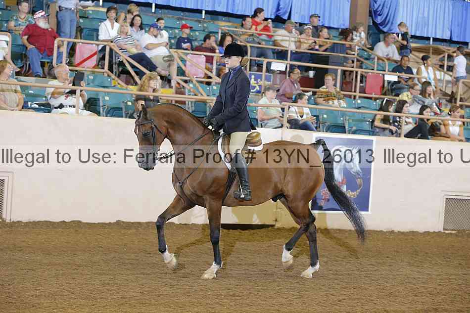 Proof 13yn_26013
