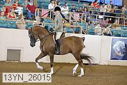 13yn_26015 proof