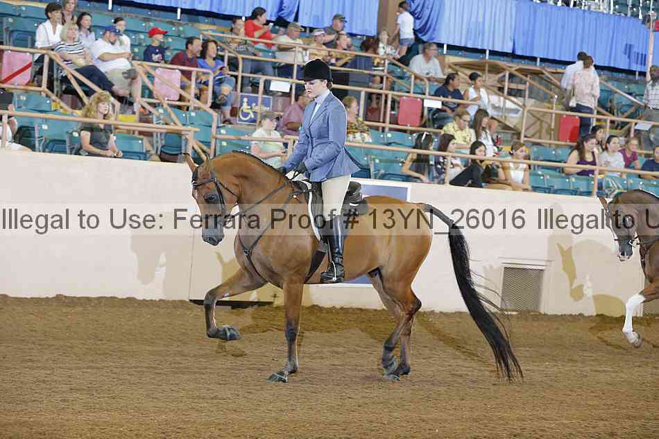 Proof 13yn_26016