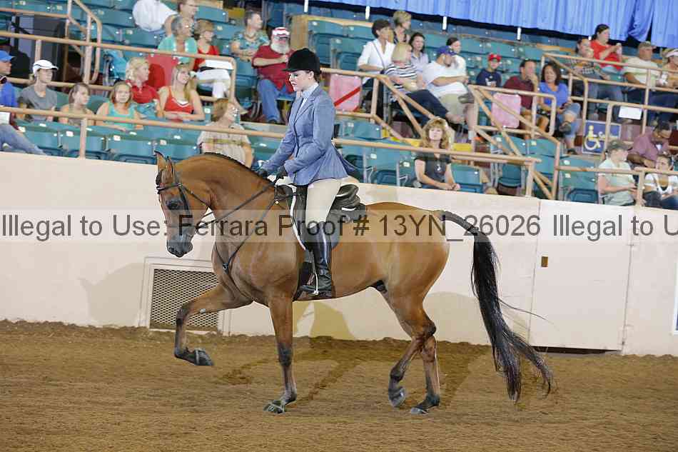 Proof 13yn_26026