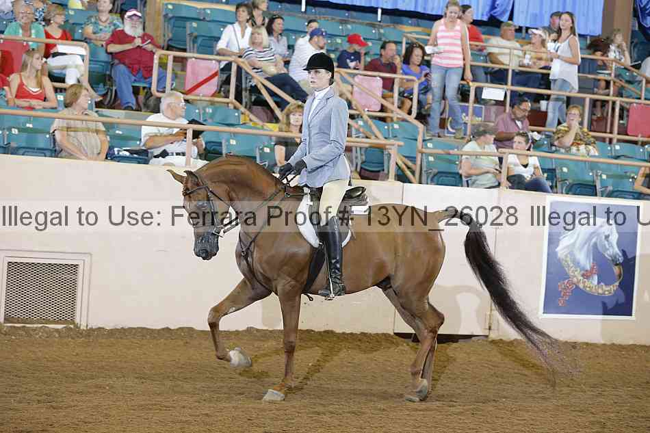 Proof 13yn_26028