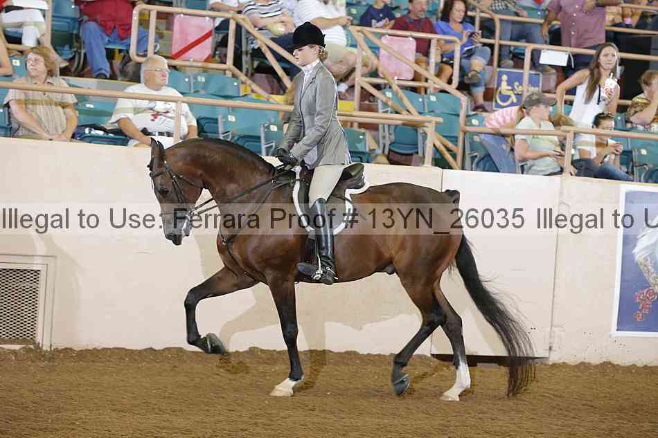Proof 13yn_26035