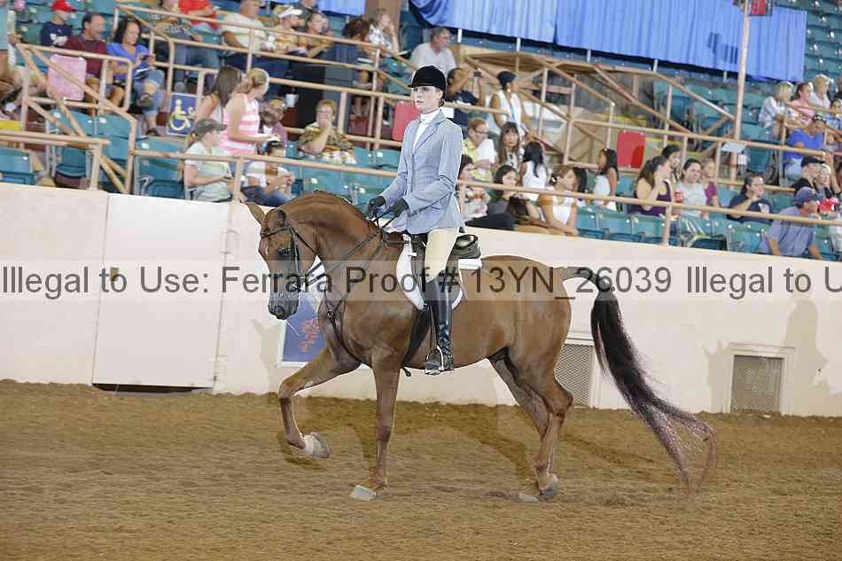 Proof 13yn_26039