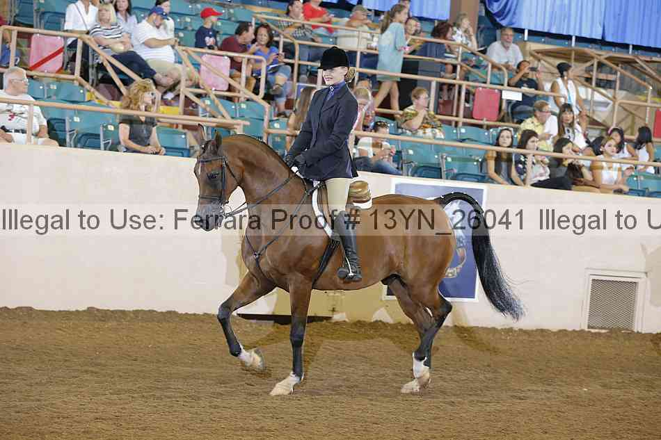 Proof 13yn_26041