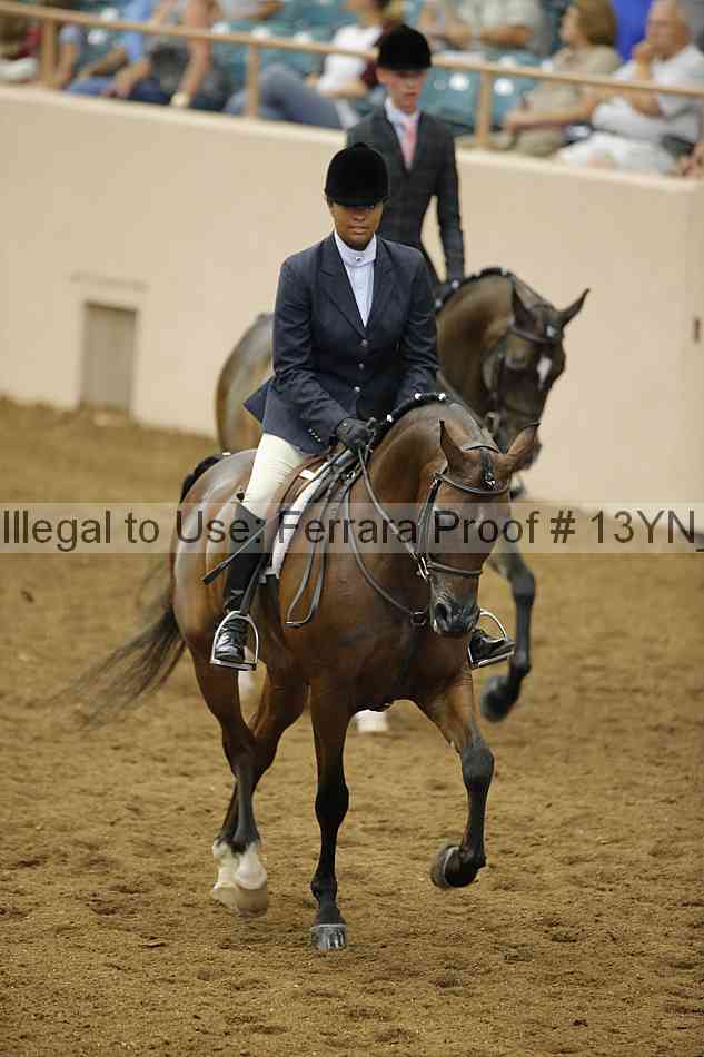 Proof 13yn_26049