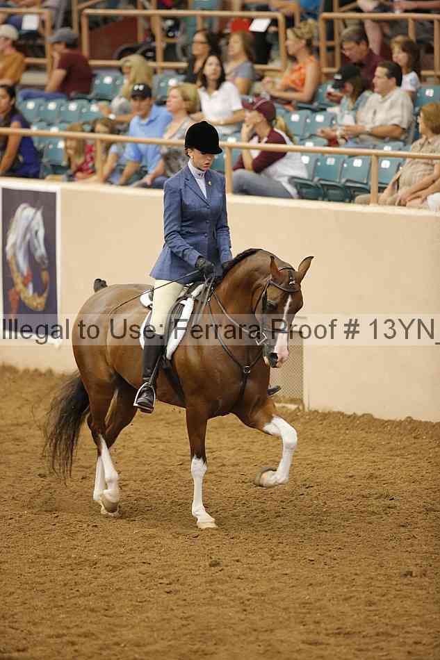 Proof 13yn_26053