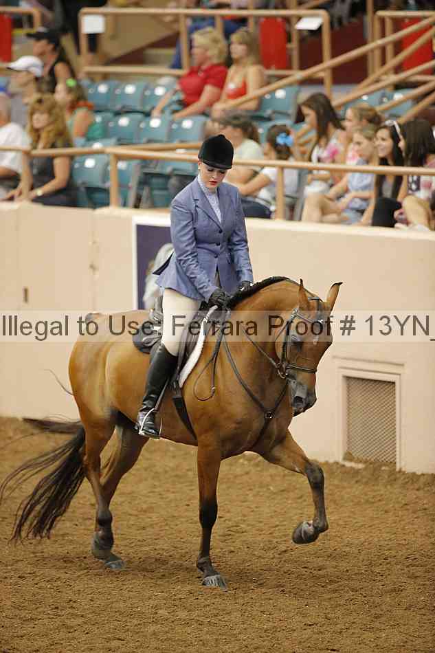 Proof 13yn_26056