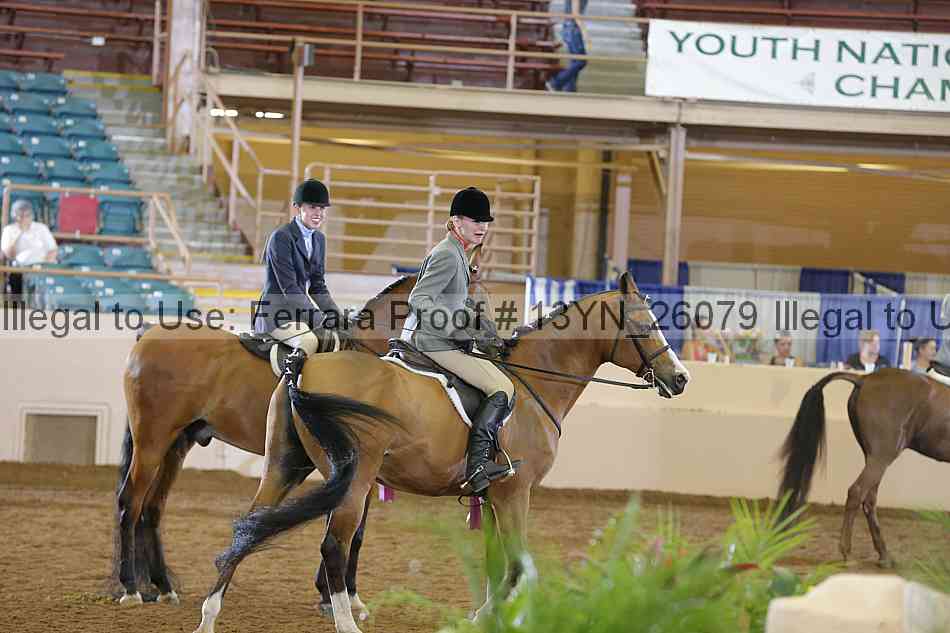 Proof 13yn_26079