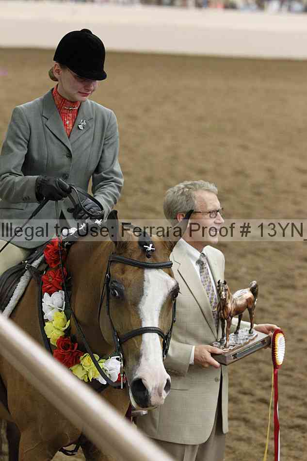 Proof 13yn_26094