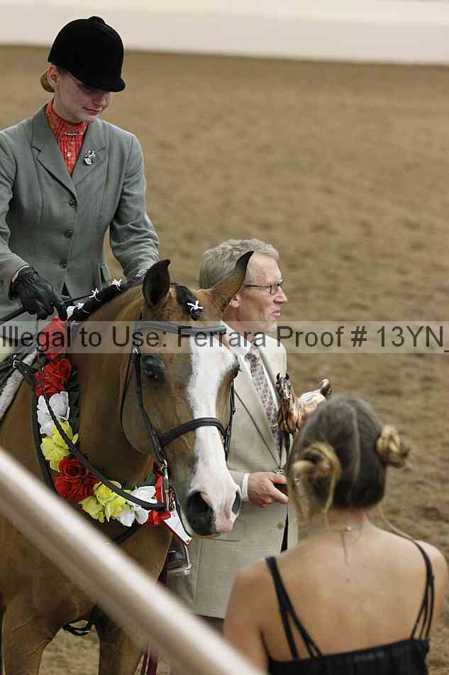 Proof 13yn_26095