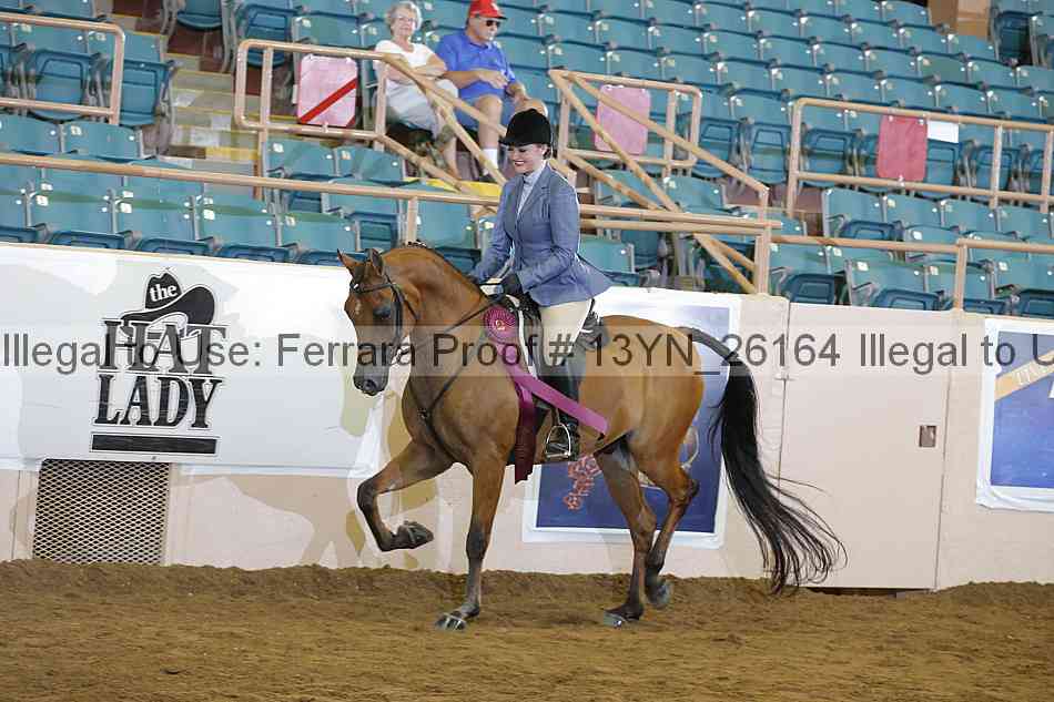 Proof 13yn_26164