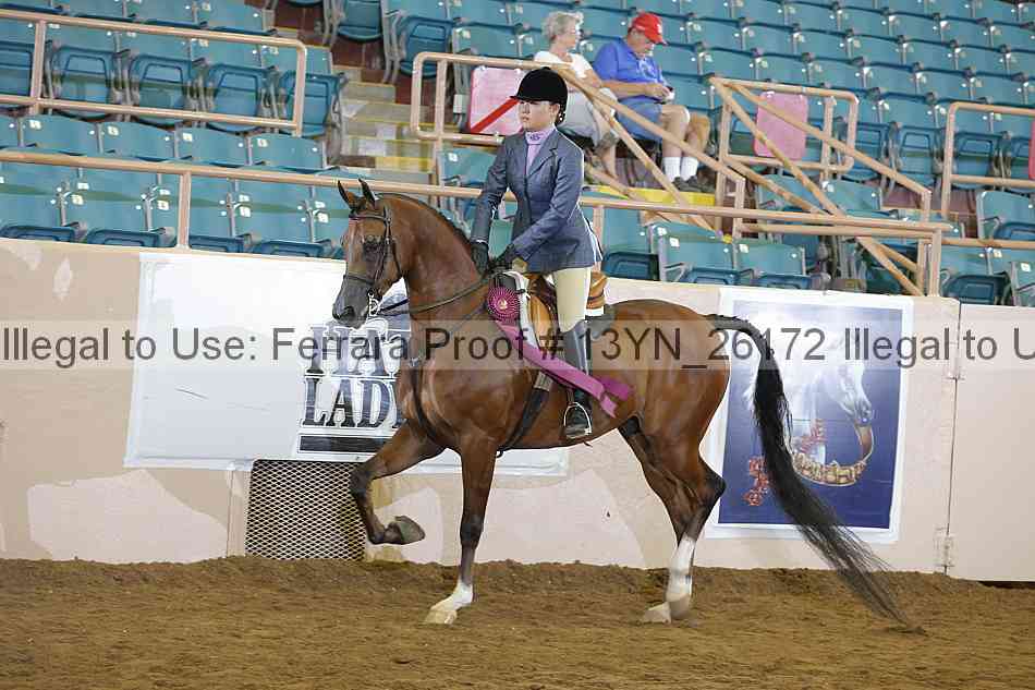 Proof 13yn_26172
