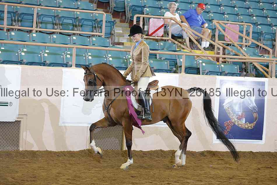 Proof 13yn_26185