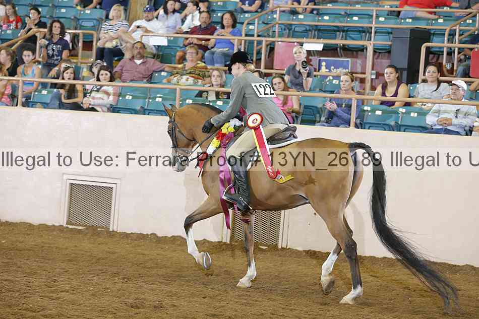 Proof 13yn_26189