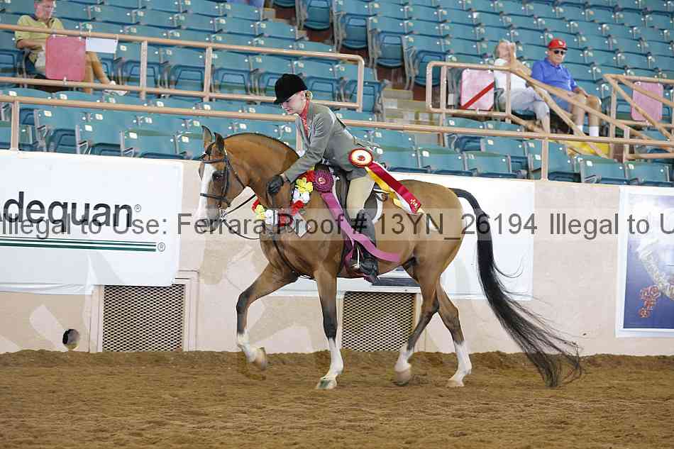 Proof 13yn_26194