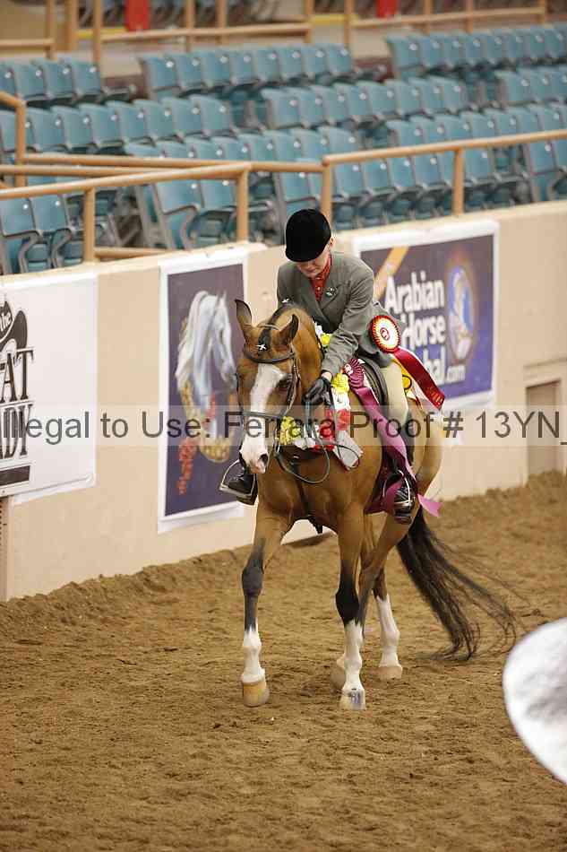 Proof 13yn_26197