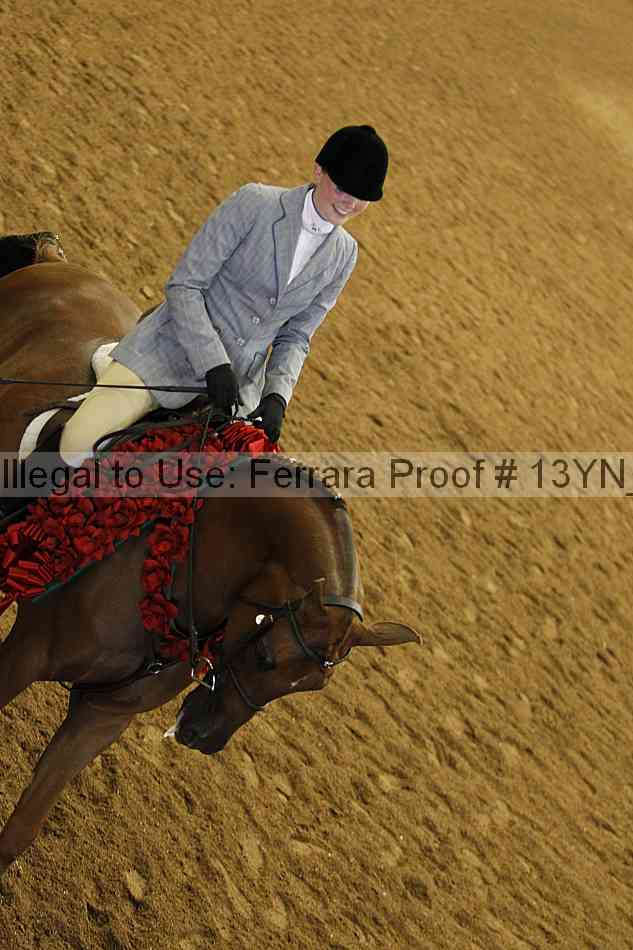 Proof 13yn_26212