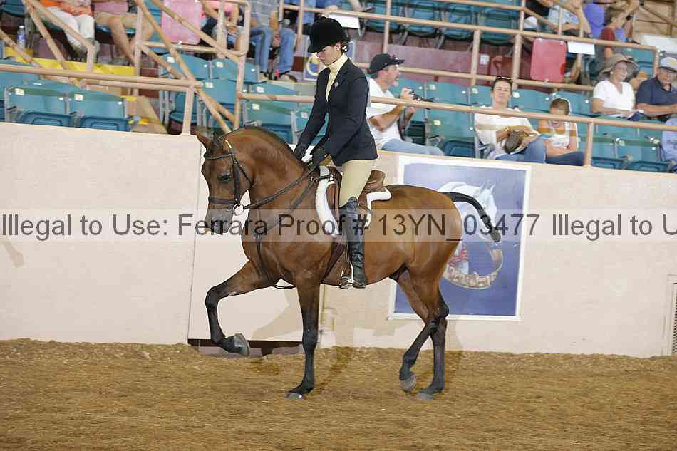 Proof 13yn_03477