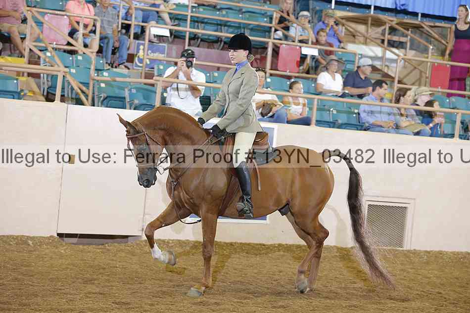 Proof 13yn_03482