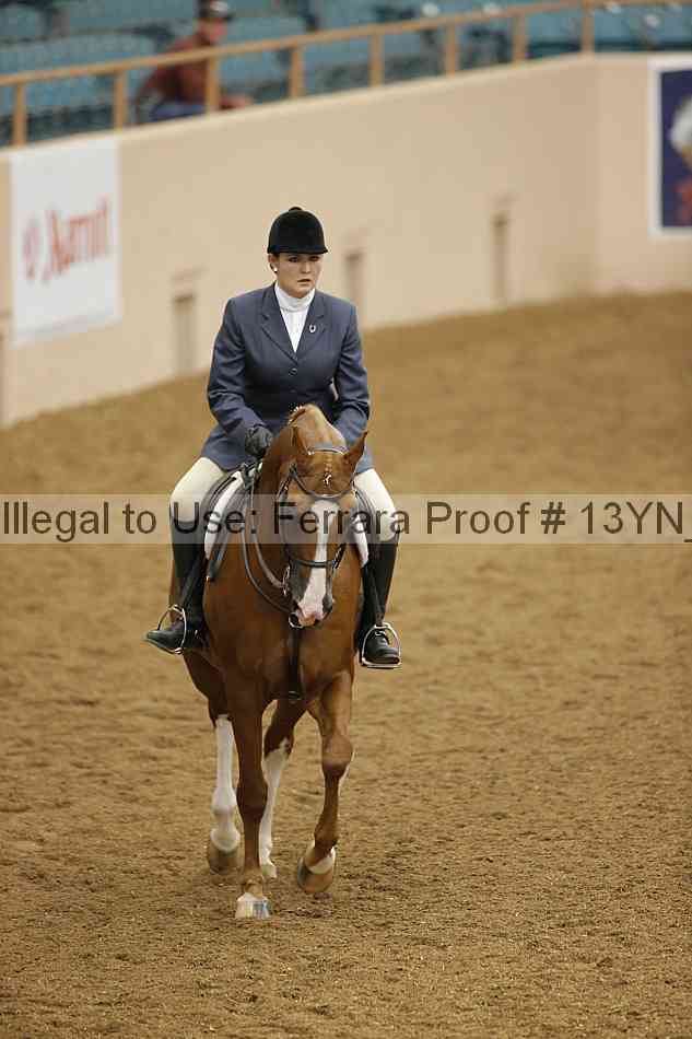 Proof 13yn_03483
