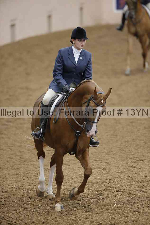 Proof 13yn_03485