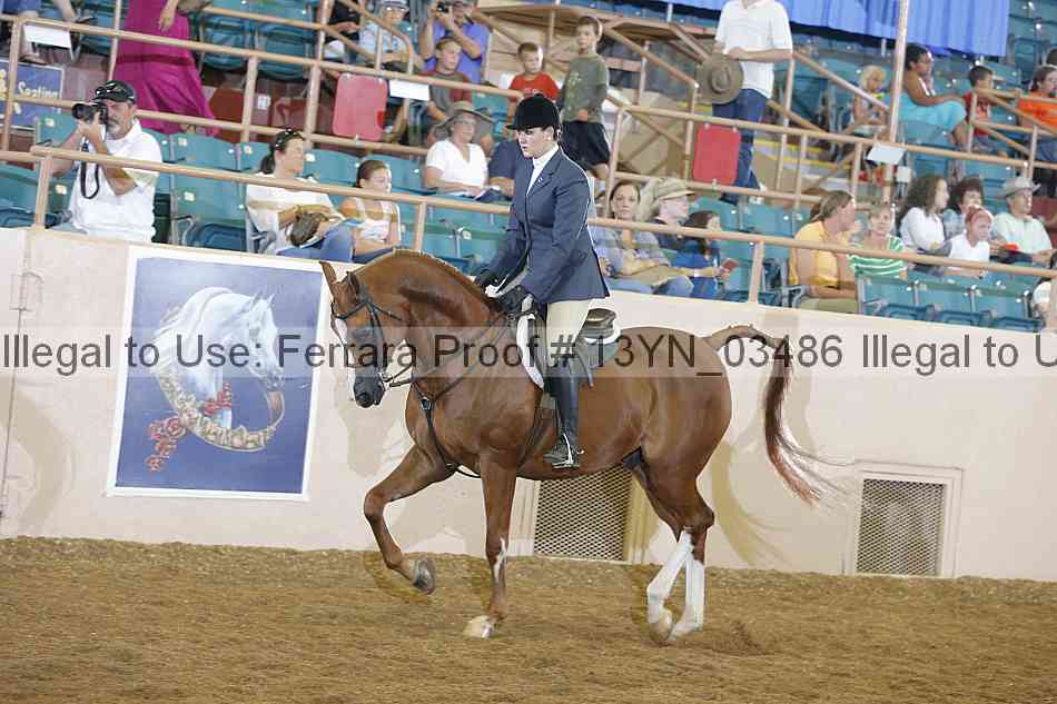 Proof 13yn_03486