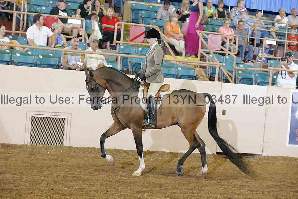 Proof 13yn_03487