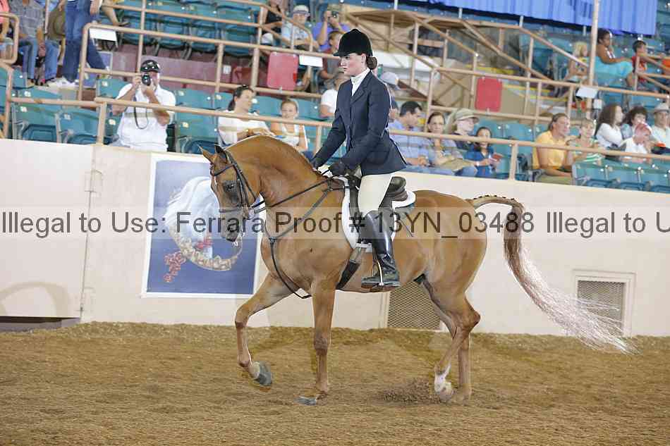 Proof 13yn_03488