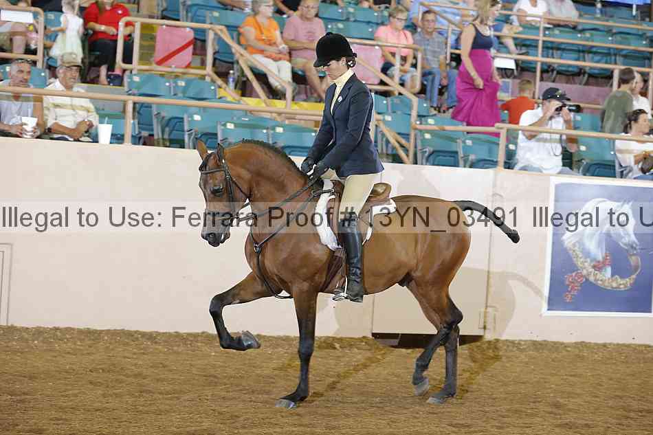 Proof 13yn_03491