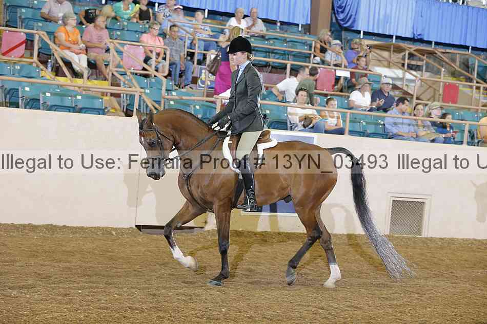 Proof 13yn_03493