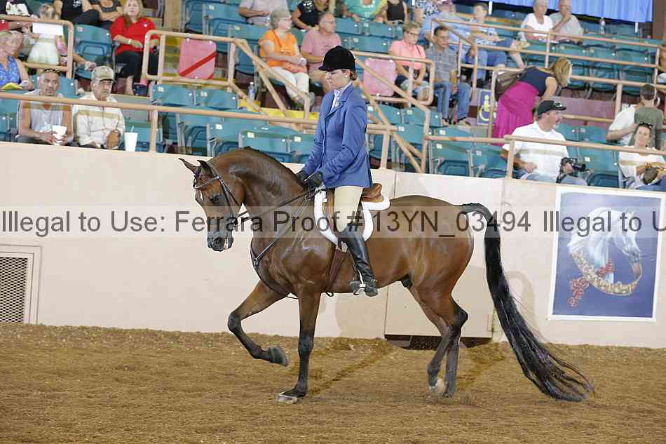 Proof 13yn_03494