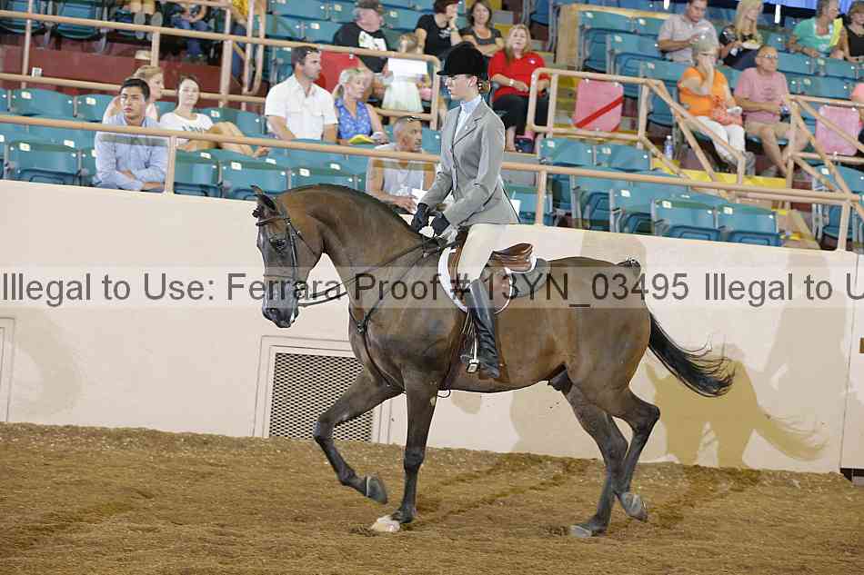 Proof 13yn_03495