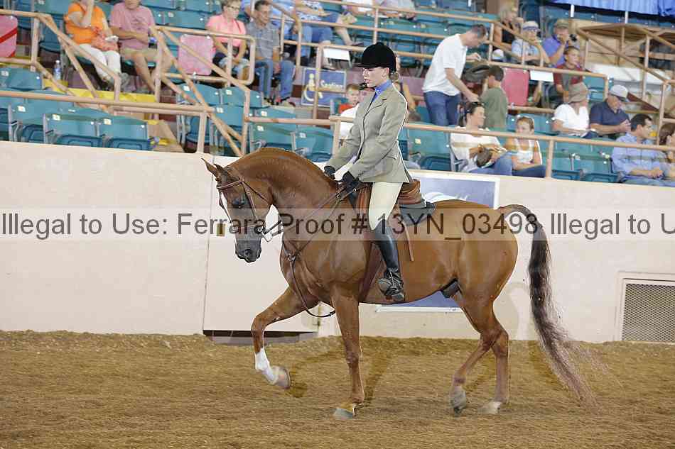 Proof 13yn_03498