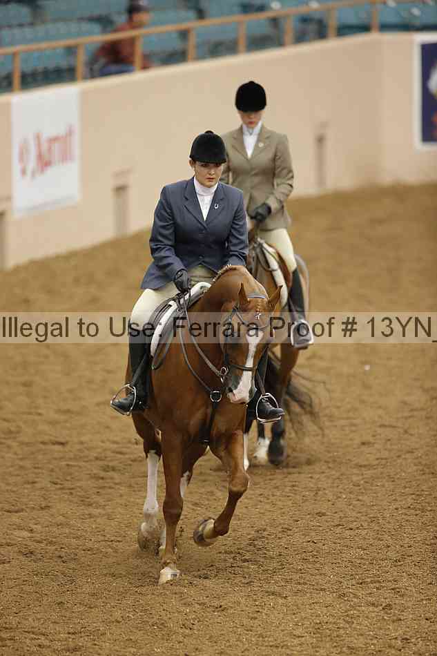 Proof 13yn_03499