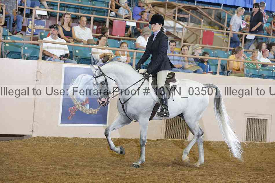 Proof 13yn_03501