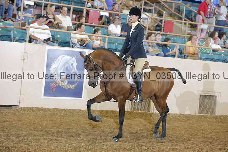 Proof 13yn_03508