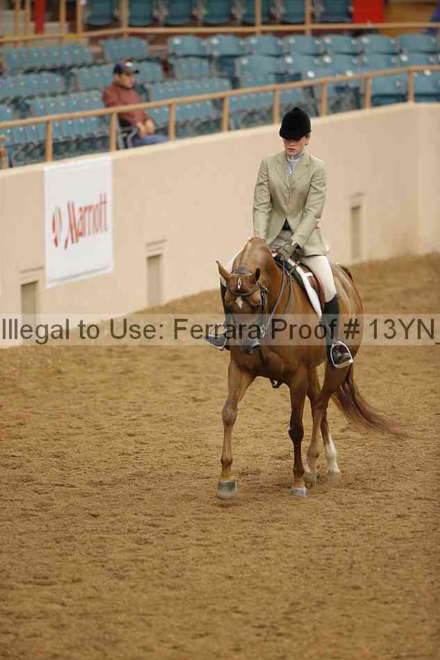 Proof 13yn_03509