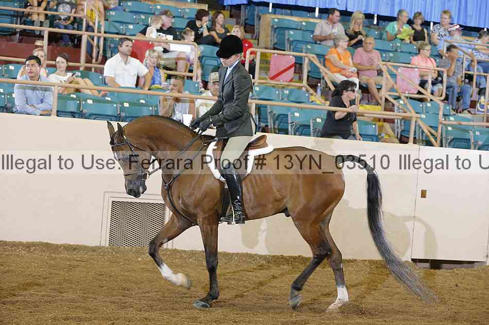 Proof 13yn_03510