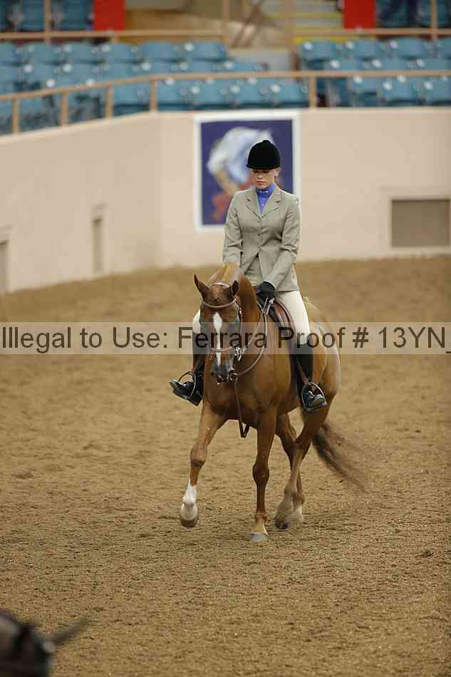 Proof 13yn_03511
