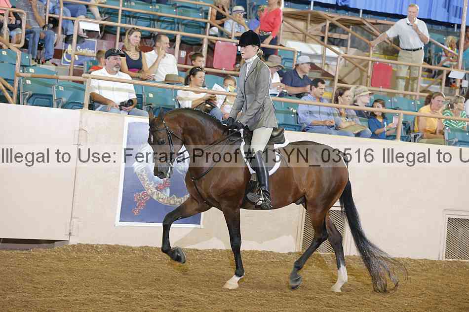 Proof 13yn_03516