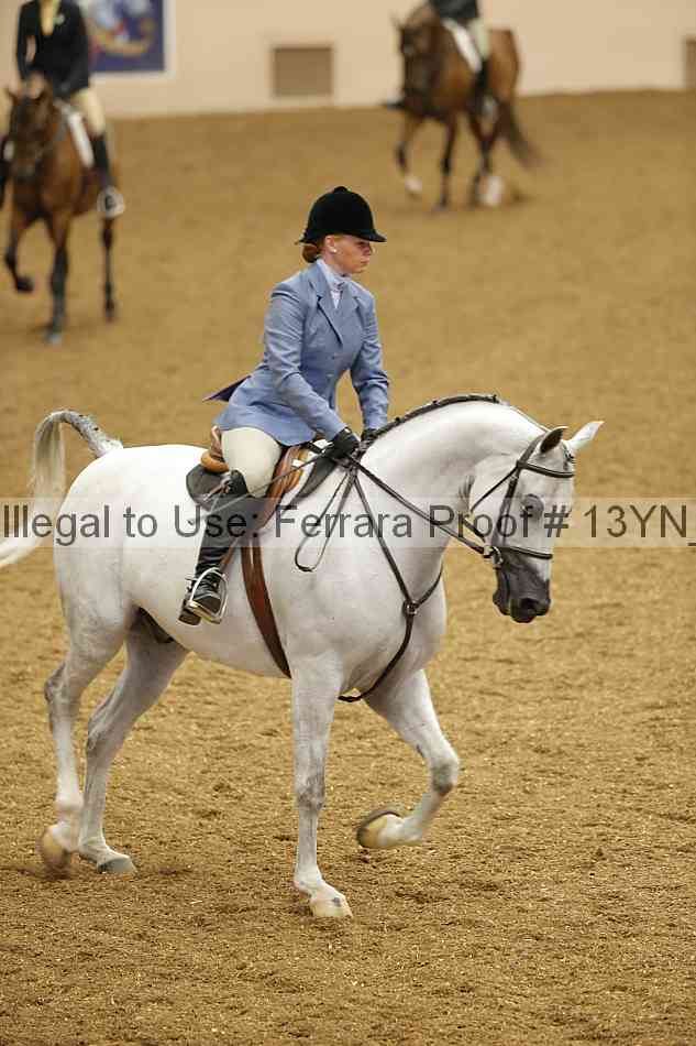 Proof 13yn_03519